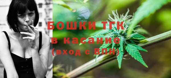 прущие грибы Алексин