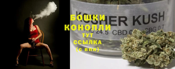 гашик Аркадак