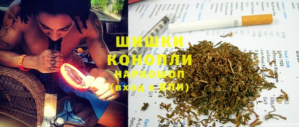 гашик Аркадак