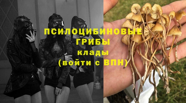 мяу мяу кристалл Арсеньев