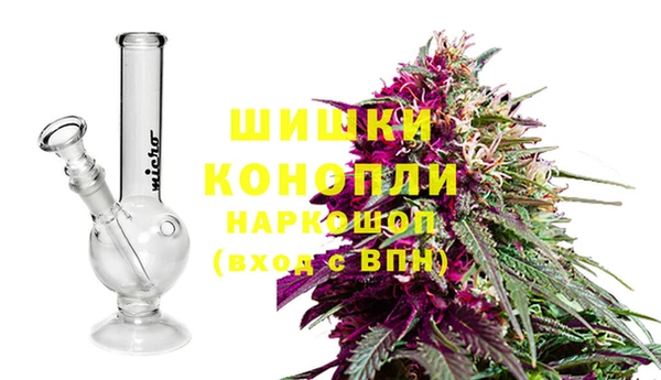 гашик Аркадак