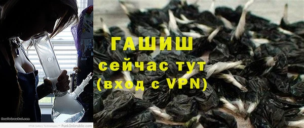 гашик Аркадак